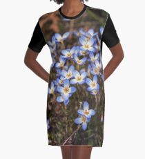 Wild Flowers Bluets Graphic T-Shirt Dress
