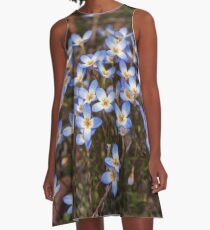 Wild Flowers Bluets A-Line Dress