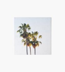 Palm Trees Art Board Print