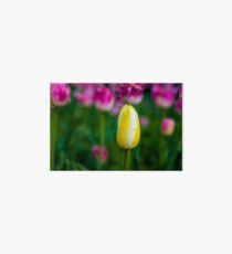 Flower macro Art Board