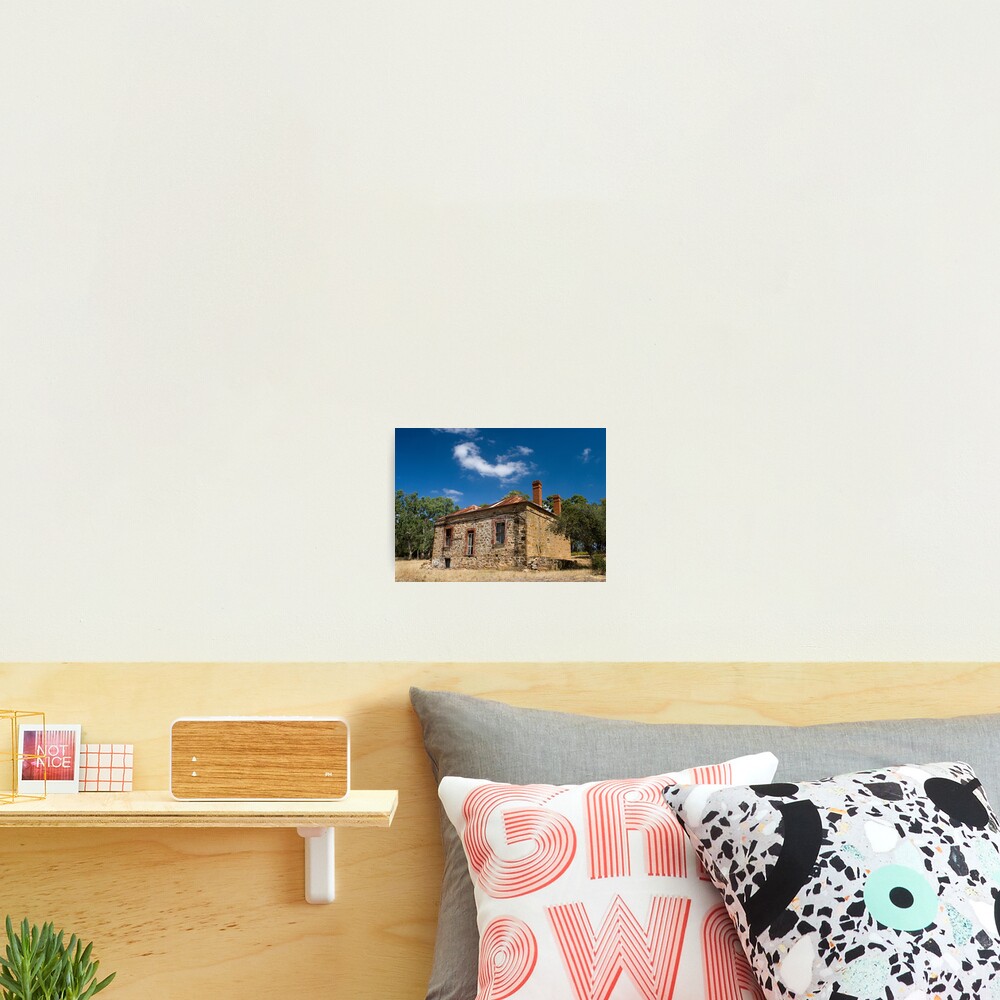 Left to Rot. Photographic Print