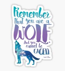 Denk daran, dass du ein Wolf bist. Und Sie können nicht eingesperrt werden. - Sarah J. Maas, Ein Gericht der Flügel und der Ruine Sticker