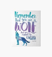 Remember that you are a wolf. And you cannot be caged. ― Sarah J. Maas, A Court of Wings and Ruin Art Board