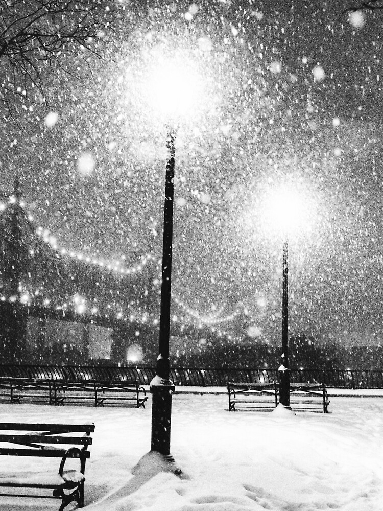 New York City Snow by vgucwaphoto