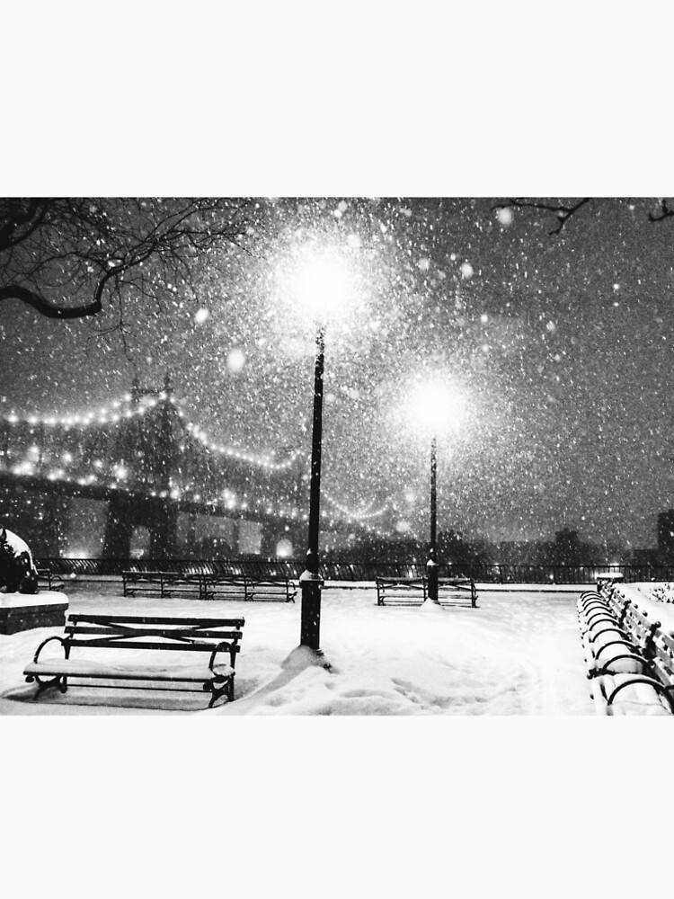 New York City Snow by vgucwaphoto