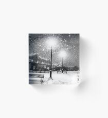 New York City Snow Acrylic Block