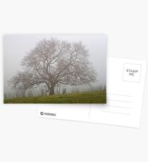 0071 Winter tree Postcards