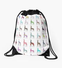 Whimsical pink floral chevron giraffe pattern Drawstring Bag