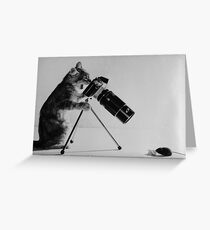 funny cat and mouse photograph Greeting Card
