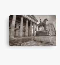 Duke of Wellington Metal Print