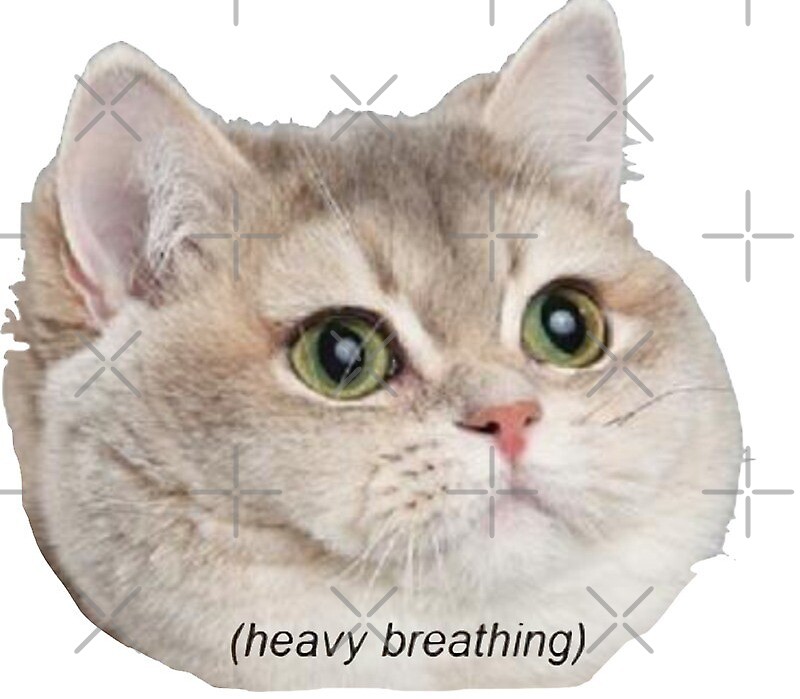 "Heavy Breathing Cat" by Emma Caplan Redbubble