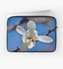 Spring in the Garden III Laptop Sleeve