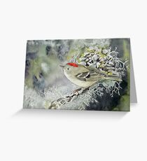 Ruby-Crowned Kinglet Greeting Card
