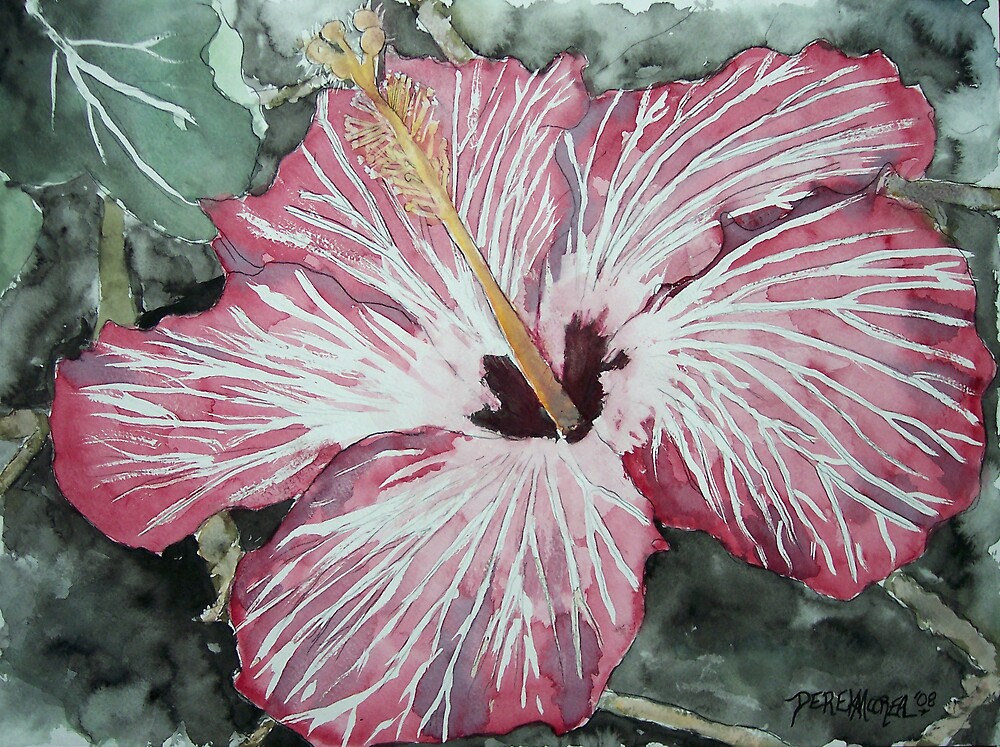self portrait hibiscus