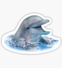 Happy Dolphin Sticker