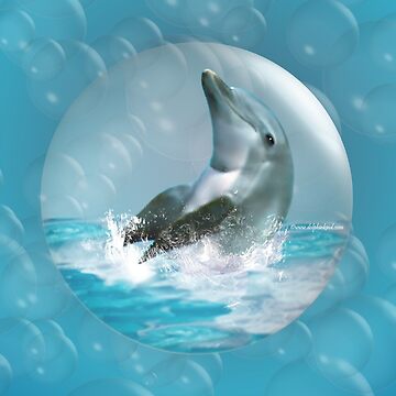 Artwork thumbnail, Bubble Dolphin by DolphinPod
