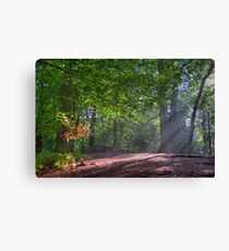 In Brocket Park in Early Autumn Canvas Print