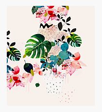 soleil Photographic Print