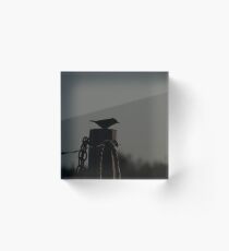 Bird Silhouette Acrylic Block