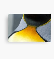 King Penguin Collar Canvas Print