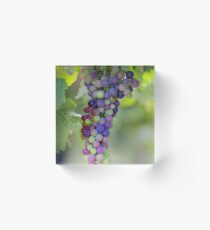 Ripen Acrylic Block