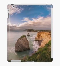 Freshwater Bay Panorama iPad Case/Skin