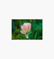 Flower macro Art Board