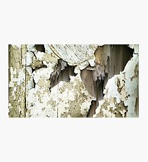 Peel Photographic Print