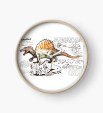 Spino Clock