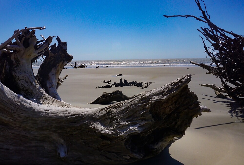 "Boneyard Beach Capers Island, South Carolina" by Jacqueline Cooper Redbubble