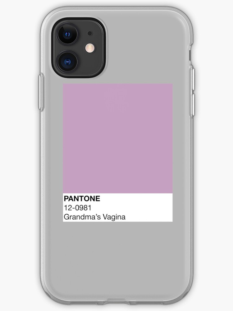 PANTONE Howl's Moving Castle iphone 11 case PANTONE Howl's Moving Castle iphone 11 case