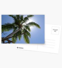Summer sun Postcards
