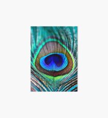 Peacock Feather Art Board