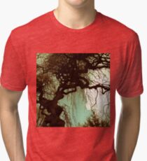 Remember Tri-blend T-Shirt