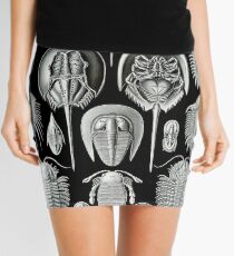 Haeckel Trilobite Mini Skirt
