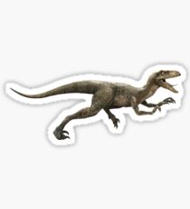 Velociraptor Sticker