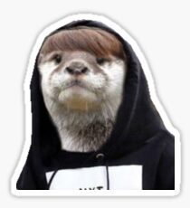 otter boy Sticker