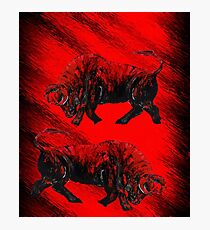 RED BULLS Photographic Print