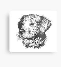 Vector Drawn Labrador Metal Print