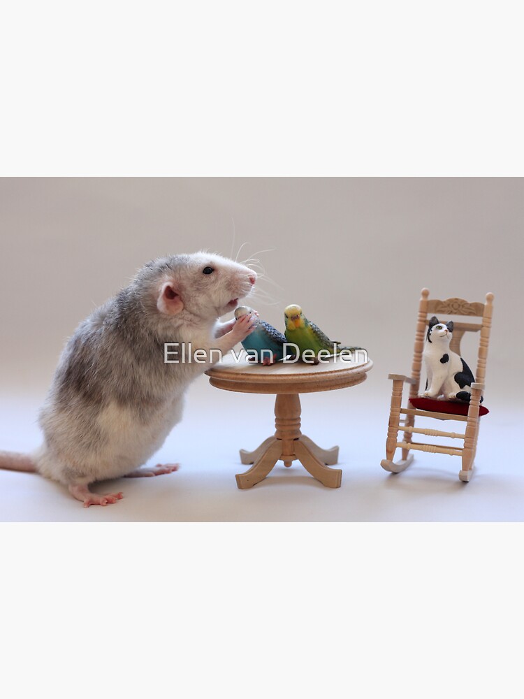 I love my birds :) by Ellen