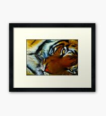 Tilt Framed Print