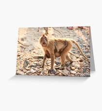 Monkey & Baby Greeting Card
