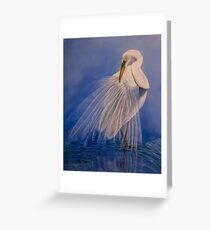 Princess of the mist Greeting Card