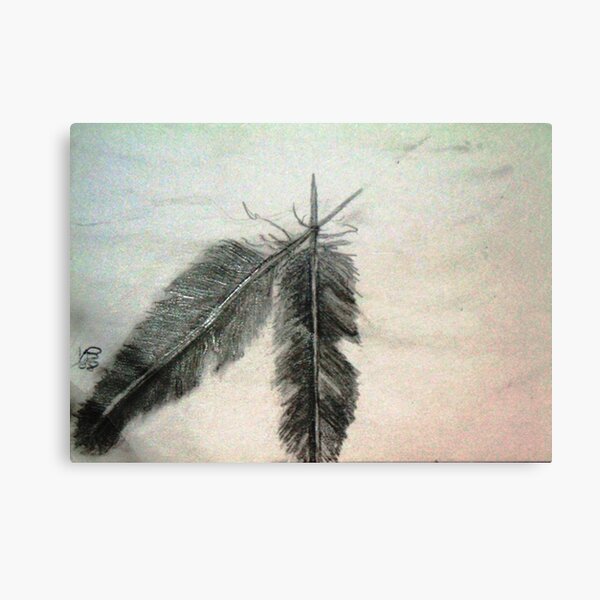Two Feathers Canvas Print