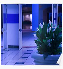 Mallwalk Eins Poster