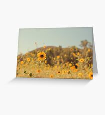 Many Flowers Greeting Card