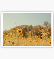 Many Flowers Sticker