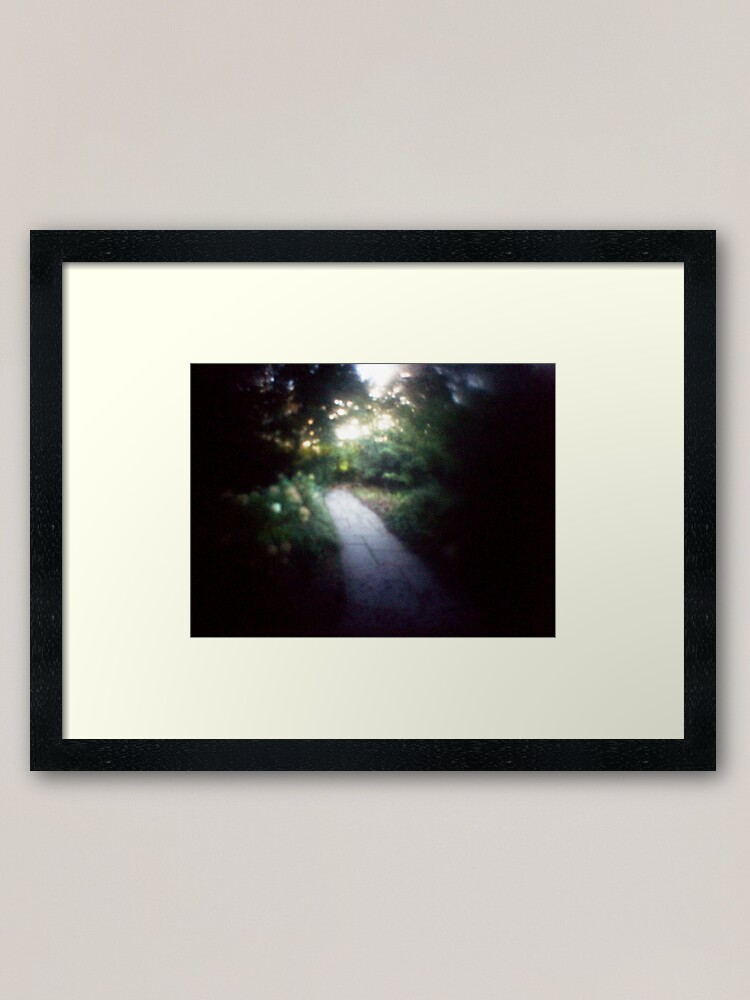 Alternate view of path Framed Art Print