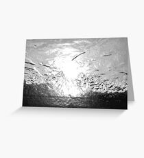 Silvery Sundown Greeting Card