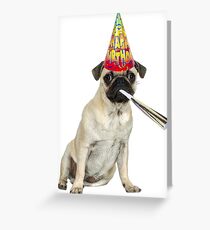 Pug Birthday Greeting Card